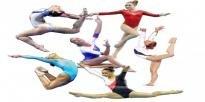 GINNASTICA ARTISTICA