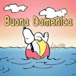 DICEMBRE ... DOMENICHE di SPORT